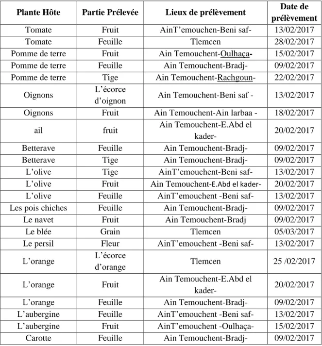 Tableau 3 : Origine des échantillons prélevés de plantes infectées. 