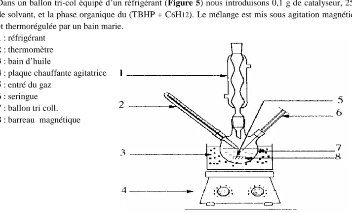 Figure 5 : Montage de la réaction d‟oxydation du cyclohexane. 