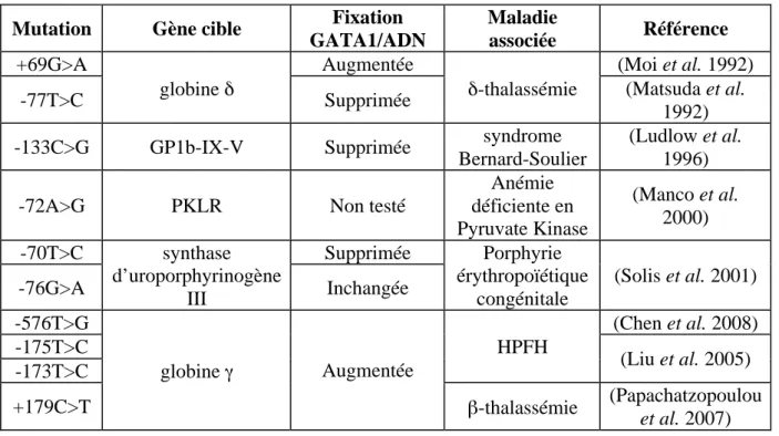 Tableau 1: Mutations des séquences consensus de GATA-1 dans ses gènes cibles 