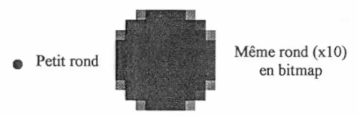 Figure II.1 : Image en pixel