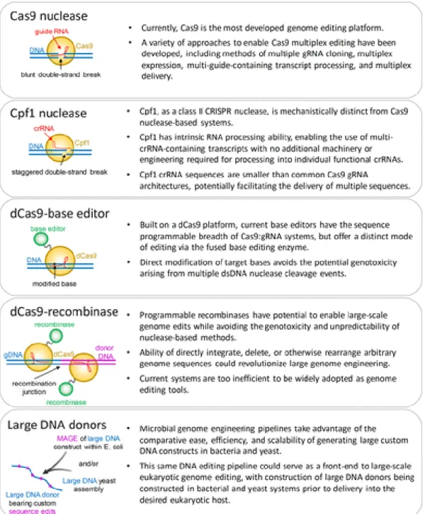 Figure 3.2 | Technologies for introducing multiplex genome edits 