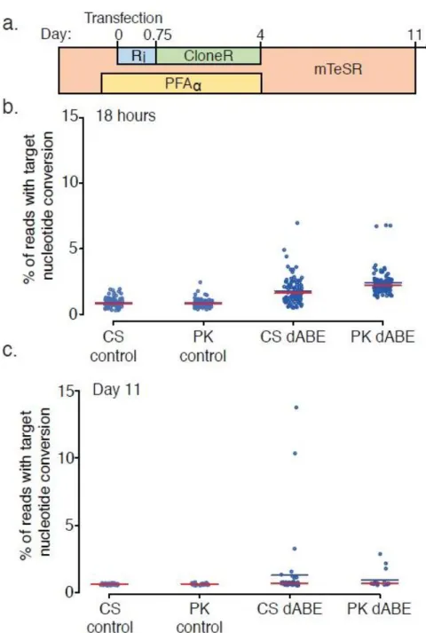 Figure  4.5  |  Survival  cocktail  and  conditions  for  clonal  derivation  of  iPSCs  after  large-scale  genome  engineering