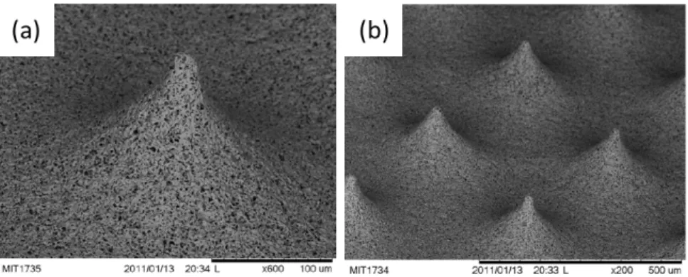 Figure 2-8: Examples of porous emitter structures [10].