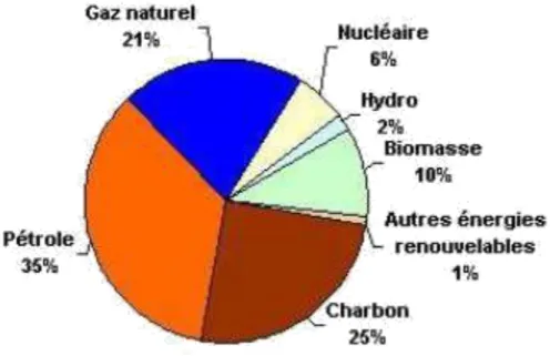 Figure 1Part de chaque source d'énergie dans la demande mondiale en énergie primaire [3] 