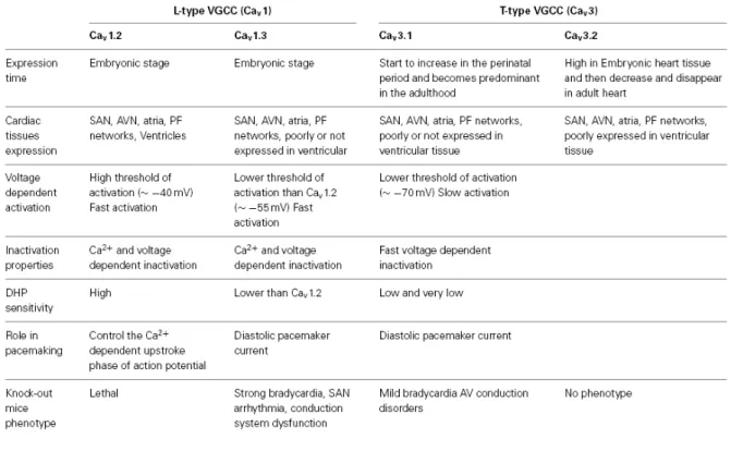 Table 1 Characteristics of the LTCC and TTCC isoforms involved in SAN automaticity. (Adapted  from Mesirca et al.,  2015 13 ) 