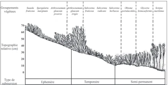 Figure 2. Les zones de végétation. 