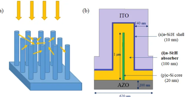 Figure 1 (a) Geometry  of the simulated nanowire array. (b) Detailed structure of a single  nanowire and the planar junction interspacing that has been modelled