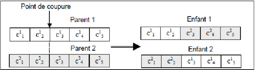 Figure 3.5 : croisement  à 1 point 