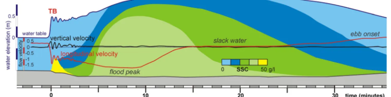 Fig. 1), i.e. a sudden rise of the water level accompanied by