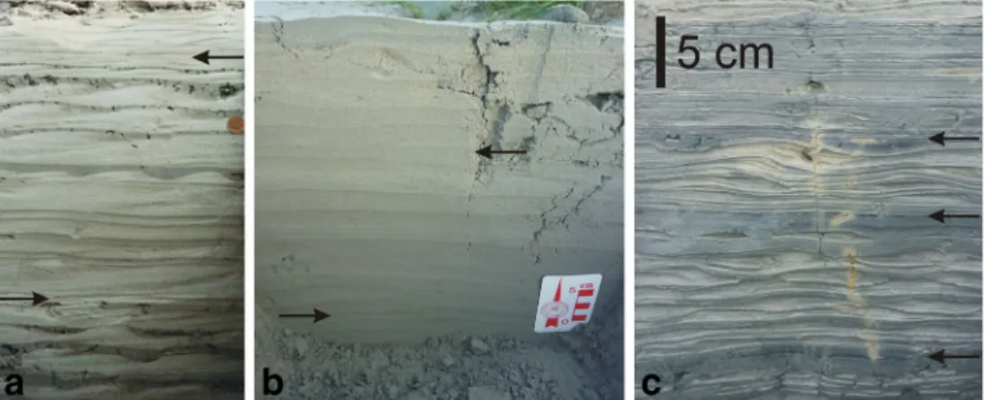 Fig. 4 Thicker-than-average middle to upper intertidal rhythmites attributed to high suspended sediment concentration induced by tidal bores: a thick tidal rhythmites including complete tidal bore sequences as tidal couplets (Sélune River inner estuary, Ba