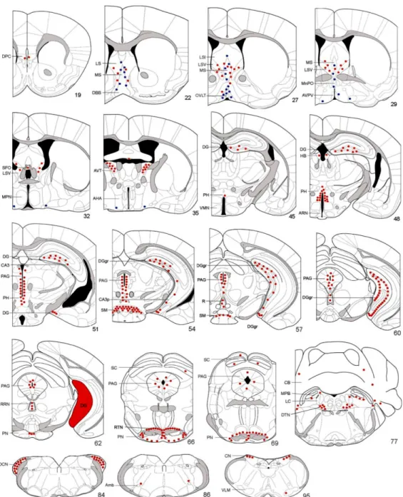 Figure 9. Schematic diagrams showing distribution of Gpr54-expressing cells in adult female  mouse brain