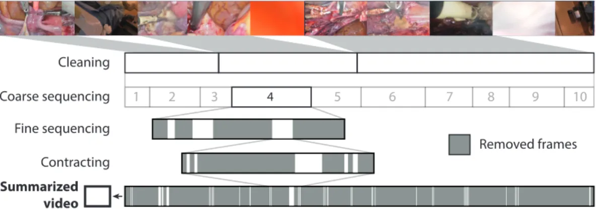 Fig. 4.  Schematic of the summarization steps. The top line represents the raw video footage, then each line  shows the removed (gray) and retained (white) frames during each step