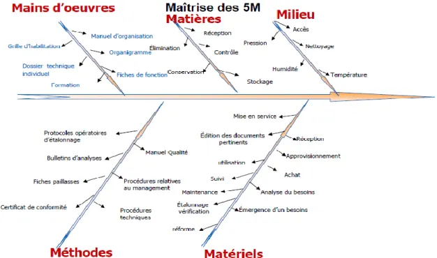 Figure 2 : Diagramme des 5M 