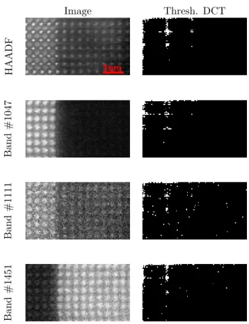 Figure 1: Illustration of the data structured sparsity. The STEM acquisition is composed of a 2D HAADF image (left panel, 1st row) and the corresponding spectrum-image whose three bands are  con-sidered (left panels, 2nd to 4th rows)