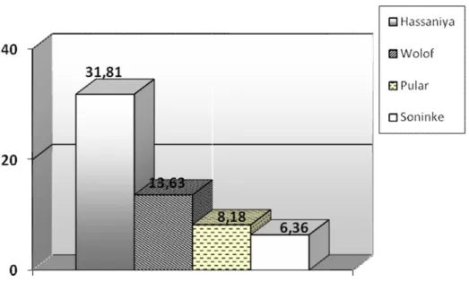 Fig 3. 4 Informants’ mother tongue  