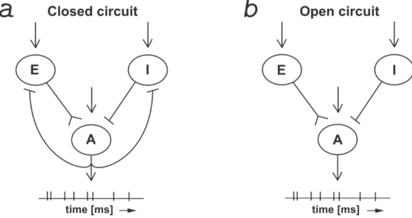 Figure 2.4. The model (2.1.14) describes a small networks of neurons with a reference unit A that receives a pool of excitatory inputs from unit E and inhibitory inputs from unit I