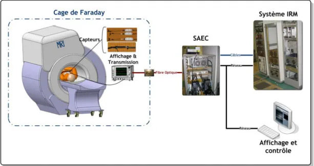Fig. 2.1: Schéma descriptif de la chaîne d'acquisition des signaux en IRM, SAEC.