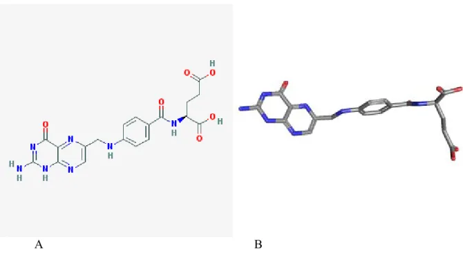 Figure 5. Structures en 2D (panel A) et en 3D (panel B) de l’acide folique (C 19 H 19 N 7 O 6 )
