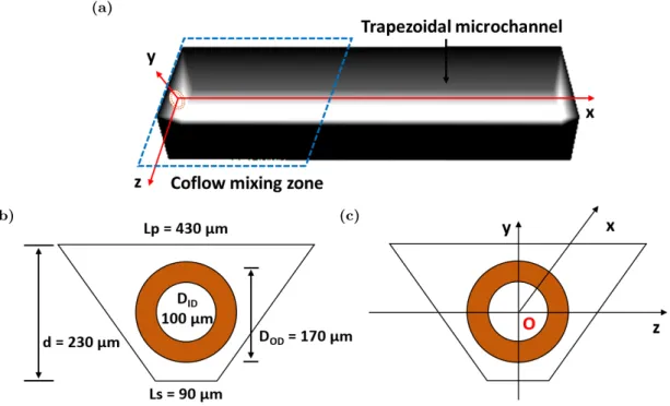 Figure 5: Geometry of the microchannel in the simulations: (a). 3D numerical geometry of the simulated microchannel (b)