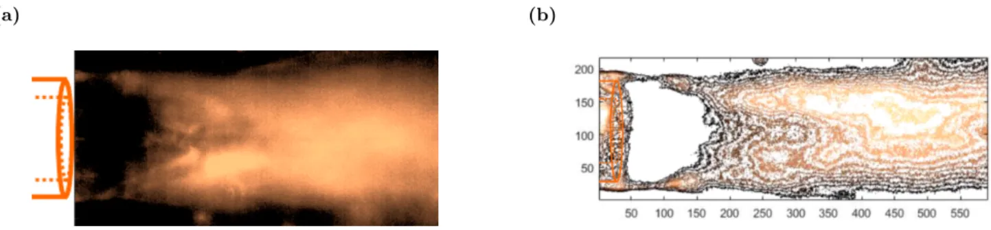 Figure 4: Processed images of CO 2 -ethanol turbulent mixing in the microchannel: a. intensity field; b