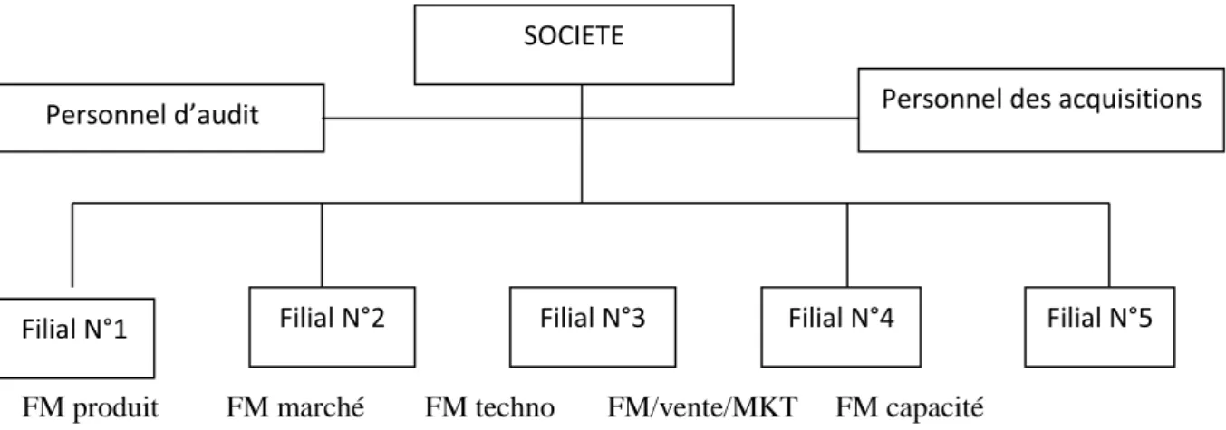 Figure N° : 01 : Organisation orientée du rendement ou du  profit: 