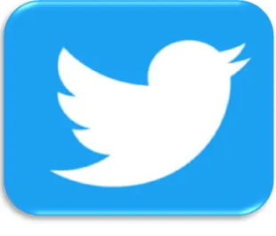 Figure 2 Twitter Logo 