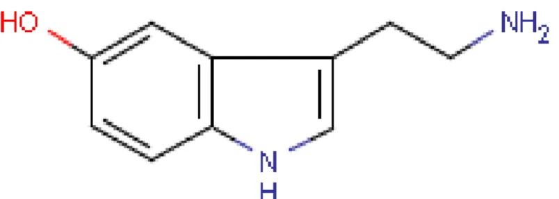 Figure 4. Structure de la 5-hydroxytryptamine ou sérotonine (5-HT) 