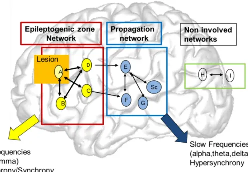 Figure  8.  A  clinical reasoning model for the spatio-temporal organization of partial seizures