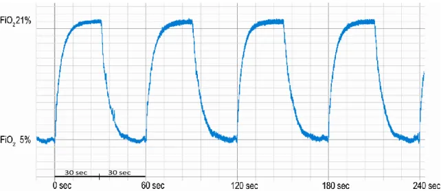 Figure 11 : Signal de FiO2 enregistré dans une cage pendant l’exposition à l’HI. 