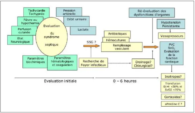 Figure 6 : Démarche diagnostique et thérapeutique initiale devant un syndrome septique [16] 