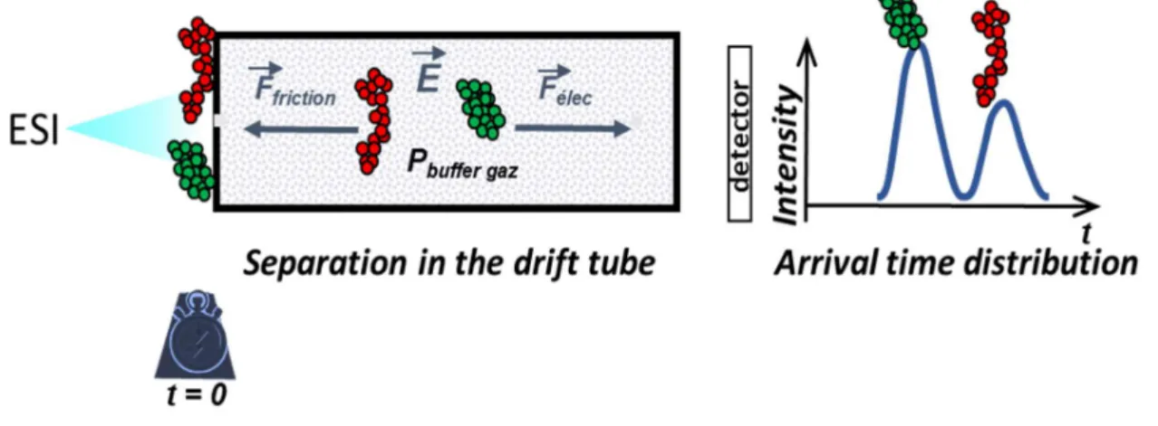 Figure 18: Schematization of the principle of Drift tube ion mobility spectrometry.
