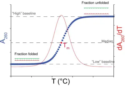 Figure 25: Schematic representation of UV melting experiment. In blue: A 260  and in red: dA 260 /dT