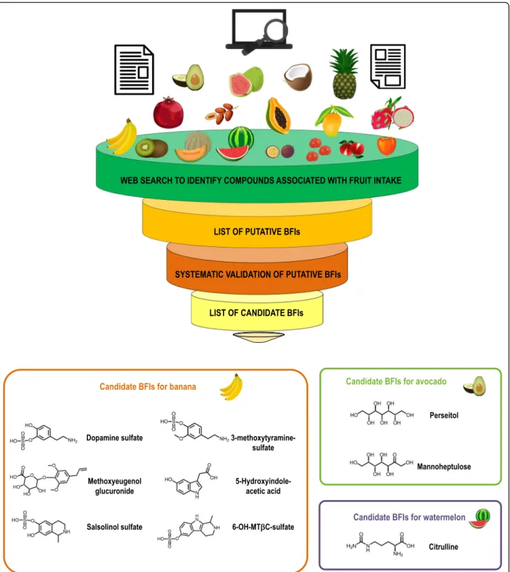 Fig. 2 Overview of the literature evaluation process of the candidate biomarkers for banana and avocado, and the candidate biomarker for watermelon