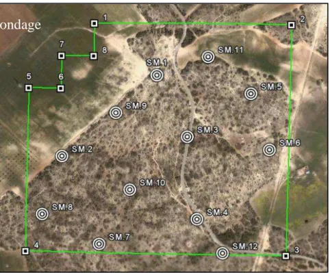 Figure 4 : limites du périmètre de Menatsia (source Google Earth)   2.2. Djebel Djira 