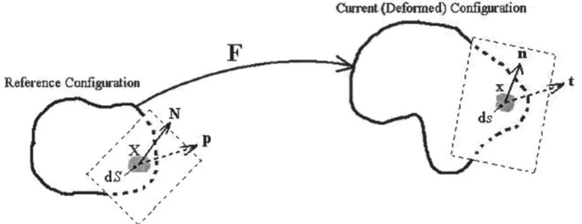 Figure 2.2:  Traction  vectors  acting on  infinitesimal  surface elements  wi th  outward unit normals  [2.1]