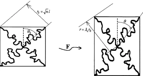 Figure 2.5:  Deformation of the 8-chain polymer  network under a tension loading.