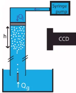 FIG. 1. 共 Color online 兲 Sketch of the experimental setup of the fluidized bed.