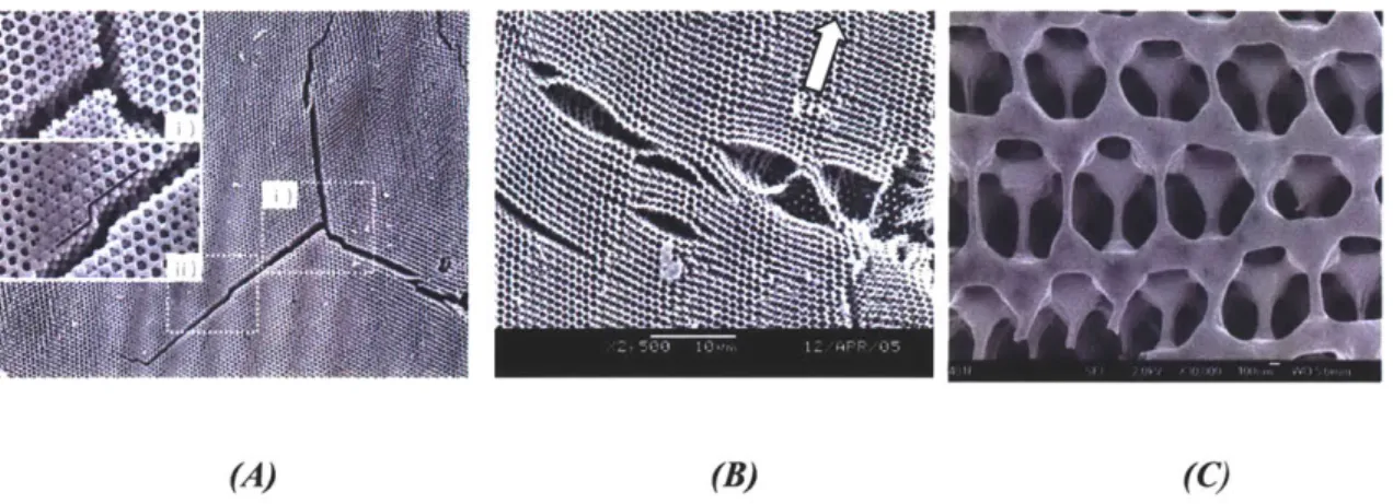 Fig.  1.14: SEM  images showing the  deformation of SU8:  (A)  cracks propagating at 1200,  (B) large openings with bent  ligaments bridging opposite sides and (C)  overstretched and fractured beams in  the vicinity of crack tip showing plasticity in  the 