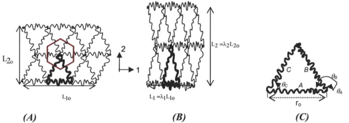 Fig.  2.10:  Schematic  of the planar triangulated network  in  (A)  the  undeformed  state, also depicting  Voronoi  tessellation to  identify  the  area of the  RVE;  (B)  when  stretched in  the   2-direction (planar  area is preserved); (C)  the repres