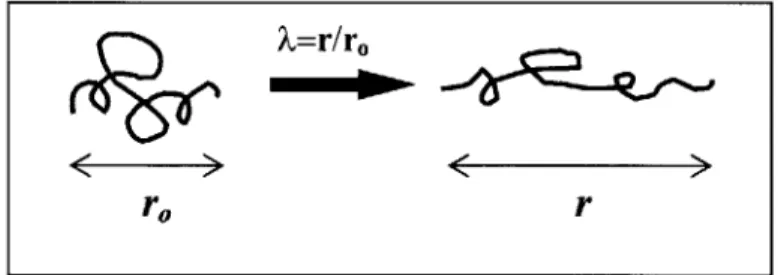 Fig. 2.12:  A  schematic of  the  initial (ro)  and current (r) end-to-end distance of a long chain molecule under deformation.