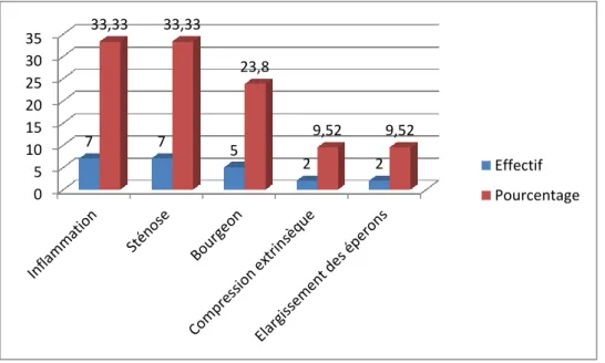 Figure 10 : la répartition des patientes selon la résultat de la fibroscopie. 