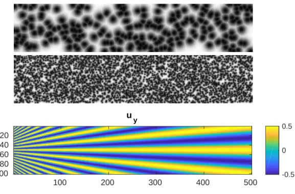 Figure 5: Two speckle images (size: 500×100 pixels) and y-component u y of the prescribed displacement field