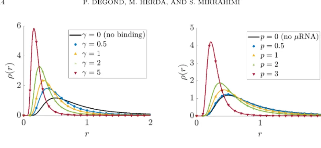 Figure 2. Marginal distributions of mRNAs ρ δ,γ,p fast for fast µRNAs compared to the free mRNA distribution ρ δ 0 (black solid curve) for different parameters p and γ