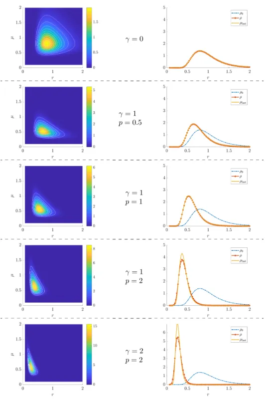 Figure 3. Numerical results. Numerical solution of the main Fokker-Planck model for various sets of parameters (γ, p)