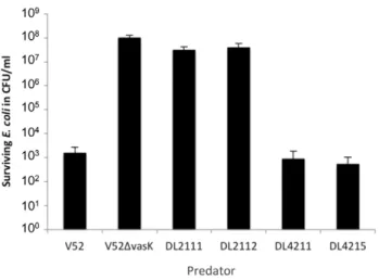 Figure 1. Ability of RGVC isolates to kill E. coli . Rough RGVC isolates DL2111 and DL2112, and smooth RGVC isolates DL4211 and DL4215 were tested for their ability to confer T6SS-mediated prokaryotic killing