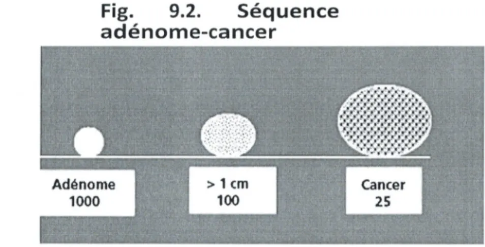 Fig.  9.2.  Séquence  adénome-cancer 