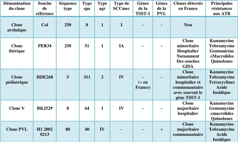 Tableau 4 : Caractéristiques des principaux clones de SARM isolés en France [48]. 