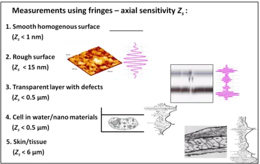 Fig. 2 Challenges of fringe signal processing in CSI  This thesis is composed of four main chapters