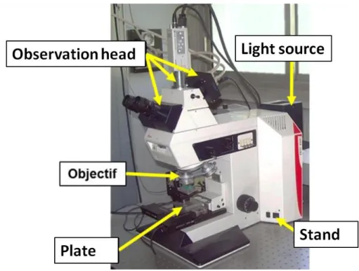 Fig. 24 The modified Leica DMR-X interference microscope developed in the IPP team  [83]