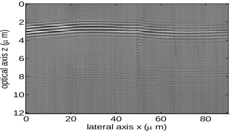Fig. 27 An XZ image showing the interferogram of the transparent polymer film sample. 